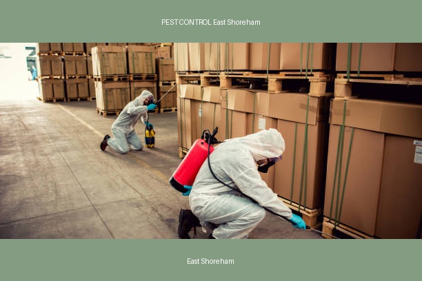 PEST CONTROL East Shoreham